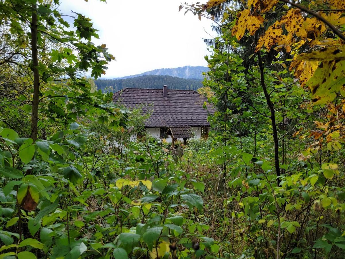 Appartamento Zátoň č.15 Lenora Esterno foto